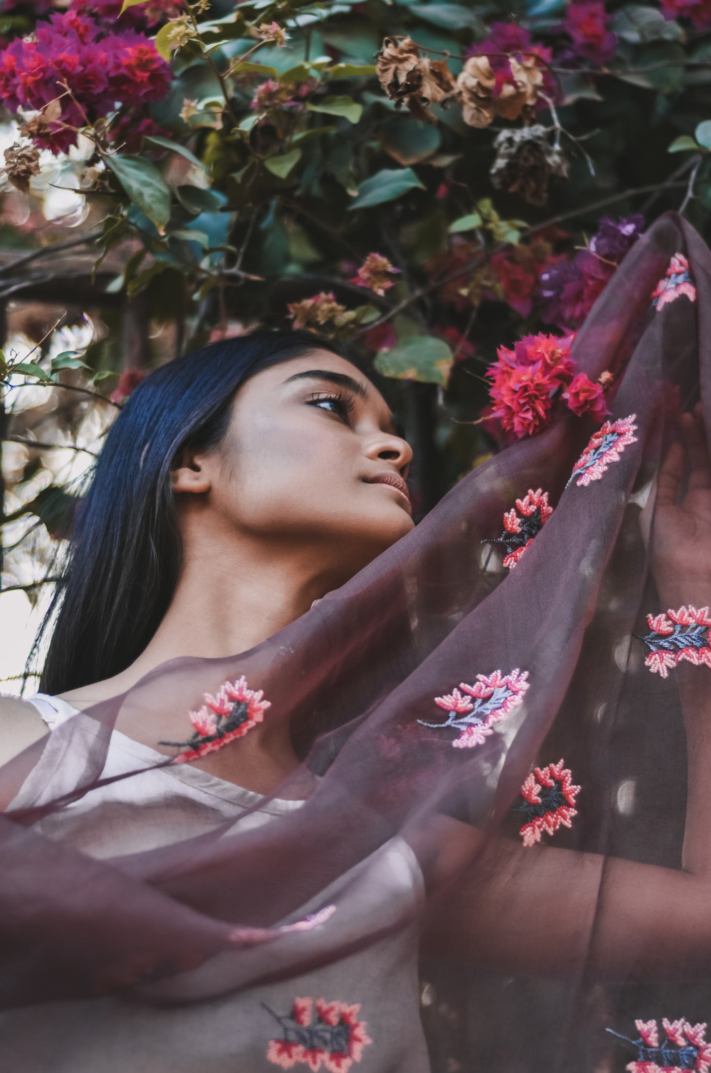 Brown Orchids Organza Duppatta