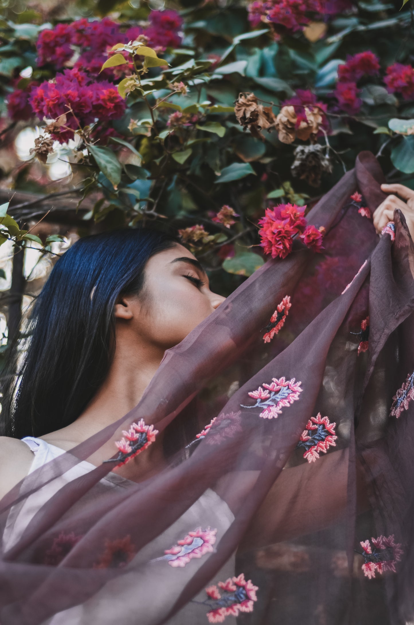 Brown Orchids Organza Duppatta