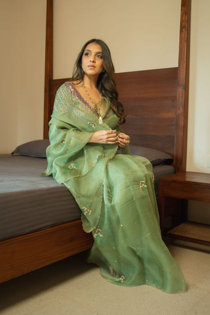 Vanmala Organza Saree